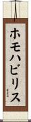 ホモ・ハビリス Scroll