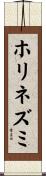ホリネズミ Scroll