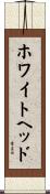 ホワイトヘッド Scroll