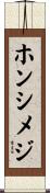 ホンシメジ Scroll