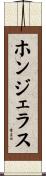 ホンジェラス Scroll