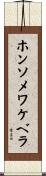 ホンソメワケベラ Scroll
