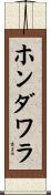 ホンダワラ Scroll