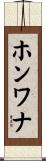 ホンワナ Scroll