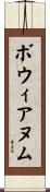 ボウィアヌム Scroll