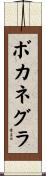 Bocanegra Scroll