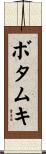 ボタムキ Scroll