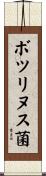 ボツリヌス菌 Scroll