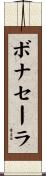 ボナセーラ Scroll