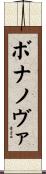 ボナノヴァ Scroll
