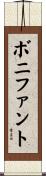 ボニファント Scroll