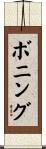 ボニング Scroll
