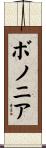 ボノニア Scroll