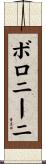 ボロニーニ Scroll