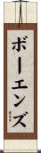 Bowens Scroll