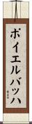 ポイエルバッハ Scroll