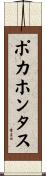 ポカホンタス Scroll