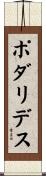 ポダリデス Scroll