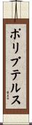 ポリプテルス Scroll