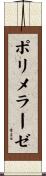 ポリメラーゼ Scroll