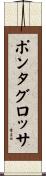 ポンタグロッサ Scroll