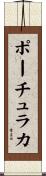 ポーチュラカ Scroll