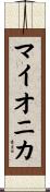 マイオニカ Scroll