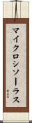 マイクロシソーラス Scroll