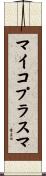マイコプラスマ Scroll
