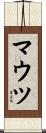 マウツ Scroll