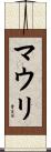 マウリ Scroll