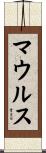 マウルス Scroll