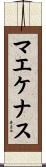 マエケナス Scroll