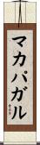 マカパガル Scroll