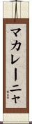 マカレーニャ Scroll