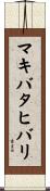 マキバタヒバリ Scroll