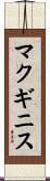 マクギニス Scroll