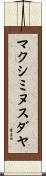 マクシミヌスダヤ Scroll