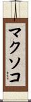 マクソコ Scroll
