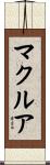 マクルア Scroll