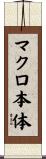 マクロ本体 Scroll