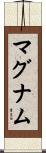 マグナム Scroll