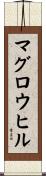 マグロウヒル Scroll