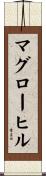 マグローヒル Scroll