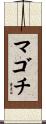 マゴチ Scroll