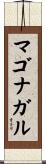 マゴナガル Scroll