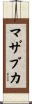 マザブカ Scroll