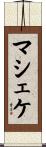 マシェケ Scroll