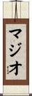 Maggio Scroll