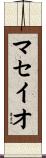 マセイオ Scroll